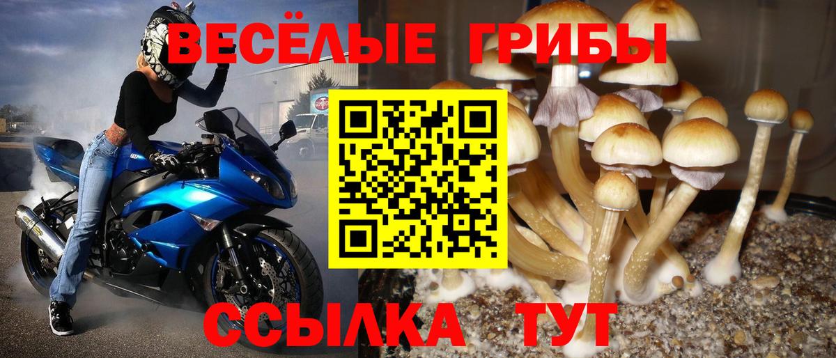 Псилоцибиновые грибы ЛСД Ярославль