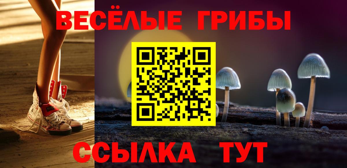 Ярославль  Псилоцибиновые грибы Magic Shrooms  Вход с VPN 